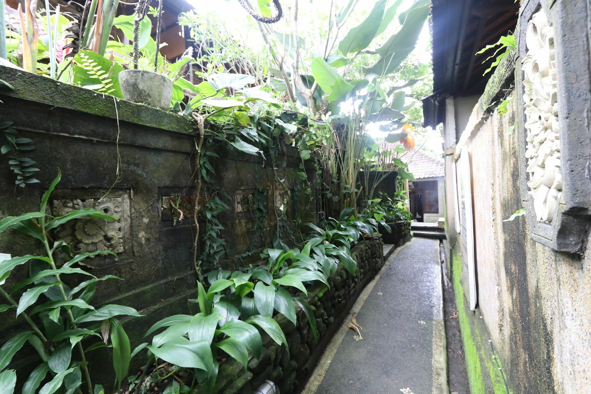 Pondok Permata Homestay Ubud Exteriér fotografie